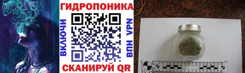 Каннабис планчик  как найти наркотики  Краснокаменск 